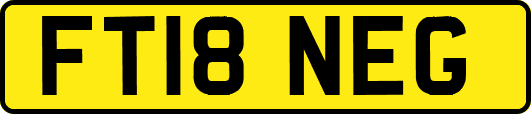 FT18NEG