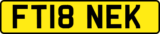 FT18NEK