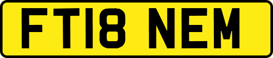 FT18NEM
