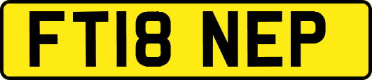 FT18NEP