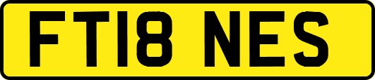 FT18NES