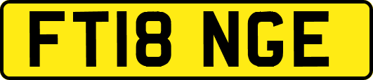 FT18NGE
