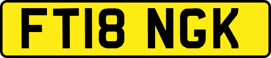 FT18NGK