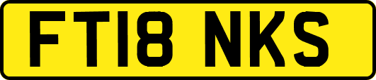 FT18NKS