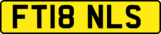 FT18NLS