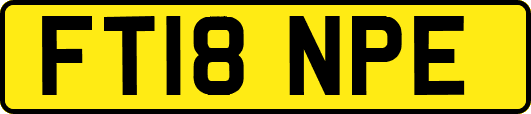 FT18NPE