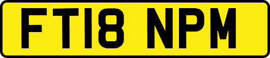 FT18NPM