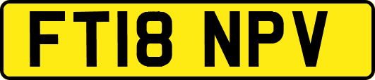 FT18NPV