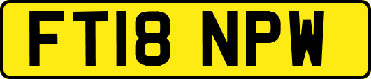 FT18NPW
