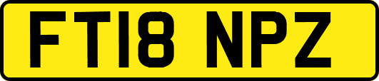 FT18NPZ