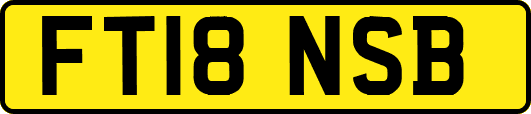 FT18NSB