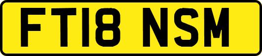 FT18NSM