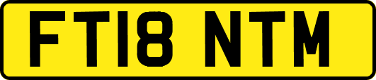 FT18NTM