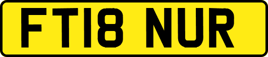 FT18NUR