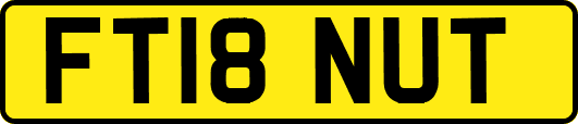 FT18NUT