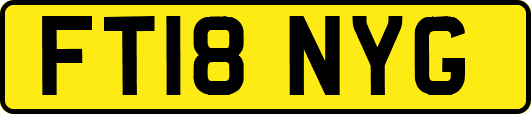 FT18NYG