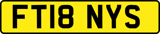 FT18NYS