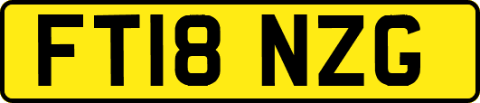 FT18NZG
