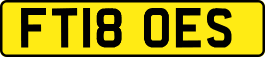 FT18OES