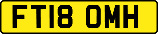 FT18OMH