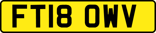 FT18OWV