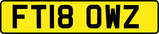 FT18OWZ