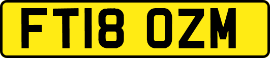 FT18OZM