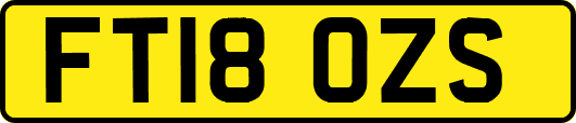FT18OZS