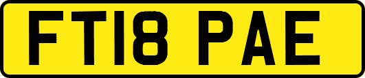 FT18PAE
