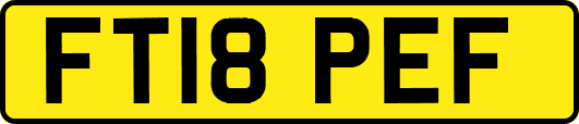 FT18PEF