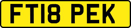 FT18PEK