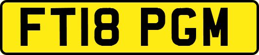 FT18PGM