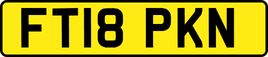 FT18PKN