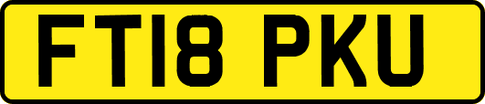 FT18PKU