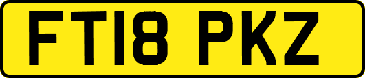 FT18PKZ
