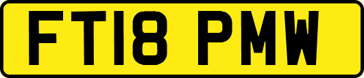 FT18PMW