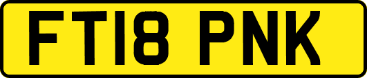 FT18PNK