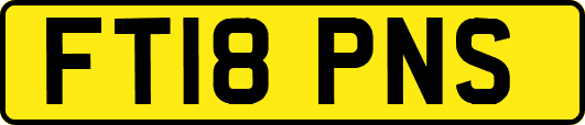 FT18PNS