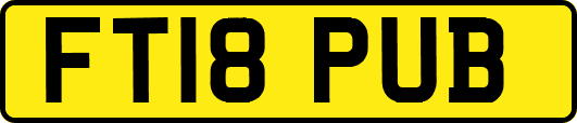 FT18PUB