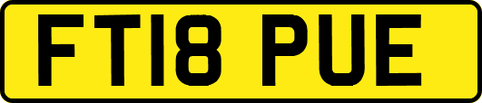 FT18PUE