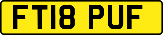 FT18PUF