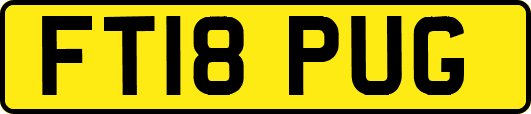 FT18PUG