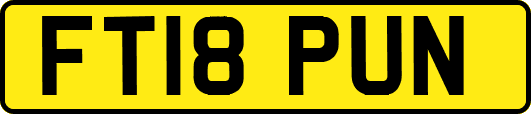 FT18PUN