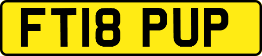 FT18PUP
