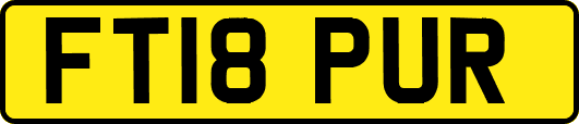 FT18PUR
