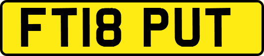FT18PUT