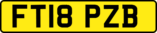 FT18PZB
