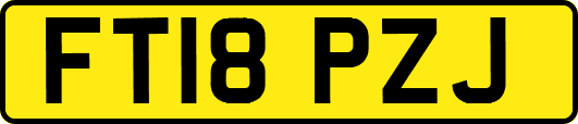 FT18PZJ