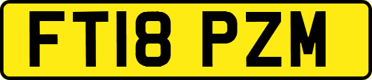 FT18PZM