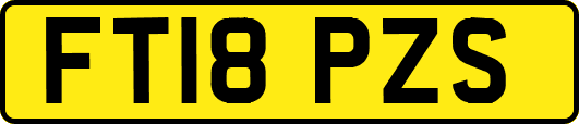 FT18PZS